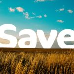 Save tente de réparer les dommages d’une croissance mal contrôlée