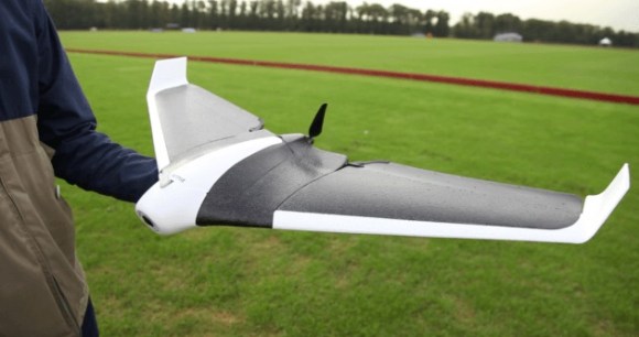 Parrot Disco Parrot Disco