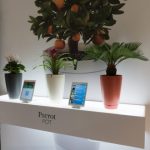 IFA 2016 : 1 an et 9 mois plus tard, Parrot commercialise enfin son Pot IFA 2016 : 1 an et 9 mois plus tard, Parrot commercialise enfin son Pot