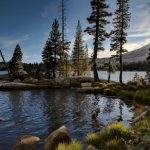 Une vidéo 4K et d’impressionnantes photos prises par les Google Pixel Une vidéo 4K et d’impressionnantes photos prises par les Google Pixel