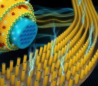 graphene-free-supercapacitor-2016-11-17-02-1024×728