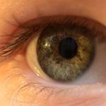 L’intelligence artificielle de Google peut éviter la perte de vue provoquée par le diabète L’intelligence artificielle de Google peut éviter la perte de vue provoquée par le diabète