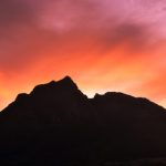 Free Mobile propose le roaming data et appels en Afrique du Sud, mais toujours pas en Suisse