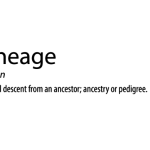 LineageOS, le nouveau nom de CyanogenMod ? LineageOS, le nouveau nom de CyanogenMod ?