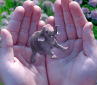 magic-leap-1000×593