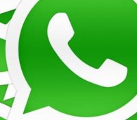 whatsappjungle-624×351