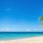 Free Mobile va débarquer à Mayotte et à la Réunion, puis ensuite aux Antilles et en Guyane