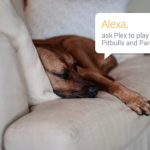 Plex pour Alexa, encore une bonne idée Plex pour Alexa, encore une bonne idée