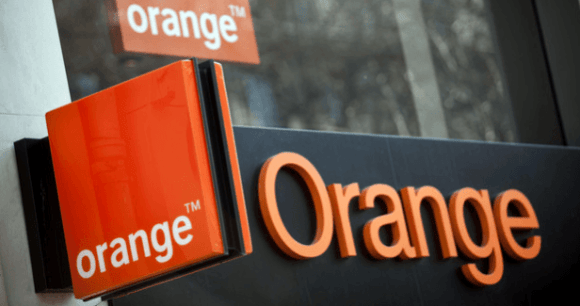 orange19 orange19