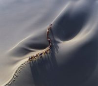 SkyPixel 2016