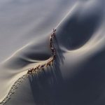 Découvrez les photos aériennes époustouflantes du prix DJI SkyPixel 2016 Découvrez les photos aériennes époustouflantes du prix DJI SkyPixel 2016