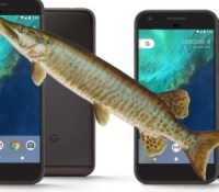 google-pixel-2-muskie-walleye