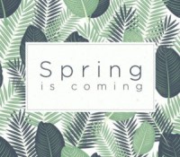 htc-printemps-surprise