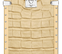 louis-vuitton-eye-trunk