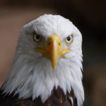 Twitter poursuit les autorités américaines pour non-respect de la liberté d’expression Twitter poursuit les autorités américaines pour non-respect de la liberté d’expression