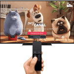 Canal+ menacerait d&rsquo;en finir avec son accès sur la TNT