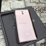 Huawei Mate 10 : des photos de la bête dans la nature
