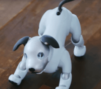 aibo-sony