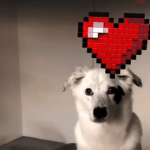 Facebook Messenger propose d&rsquo;enrichir vos vidéos avec des stickers 3D