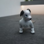 Sony Aibo (2018) nous rappelle que le constructeur n’a pas changé depuis 11 ans – CES 2018 Sony Aibo (2018) nous rappelle que le constructeur n’a pas changé depuis 11 ans – CES 2018
