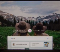 google-fuchsia-1-2018-17