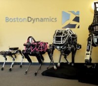 boston-dynamics