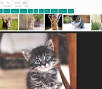 google-images-view-photo