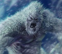 yeti
