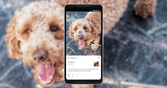 google-lens google-lens
