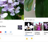 Google Lens fr