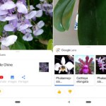 Google Lens : le déploiement en France a commencé Google Lens : le déploiement en France a commencé