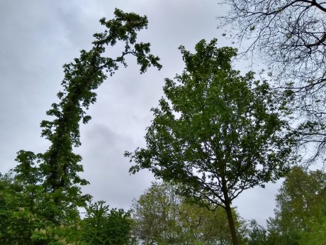 IMG_20180429_115004980_HDR