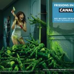 CanalPlay jette l’éponge après avoir perdu 75 % d’abonnés en deux ans CanalPlay jette l’éponge après avoir perdu 75 % d’abonnés en deux ans