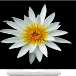 🔥 Soldes : la TV OLED LG 55″ 55EG9A7V est à 756 euros au lieu de 1000 euros 🔥 Soldes : la TV OLED LG 55″ 55EG9A7V est à 756 euros au lieu de 1000 euros