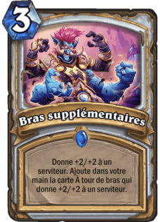 bras-supplementaires