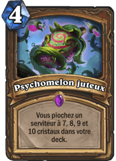 psychomelon-juteux