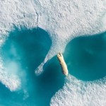 Voici la photographie de 2018 capturée par un drone Voici la photographie de 2018 capturée par un drone