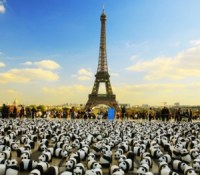 _c__franck_charel___1600_pandas_au_trocadero___112_