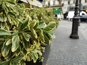 IMG_20180913_143609