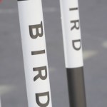Bird incite ses utilisateurs à signaler les trottinettes mal garées Bird incite ses utilisateurs à signaler les trottinettes mal garées