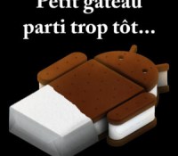 Ice Cream Sandwich RIP