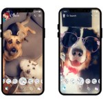 Essayez les nouveaux filtres pour chiens sur Snapchat Essayez les nouveaux filtres pour chiens sur Snapchat