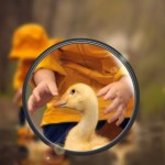 Huawei se moque (gentiment) des médias qui l’accusent à tort Huawei se moque (gentiment) des médias qui l’accusent à tort
