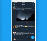 twitter-dims