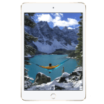 Apple iPad mini 4 Apple iPad mini 4