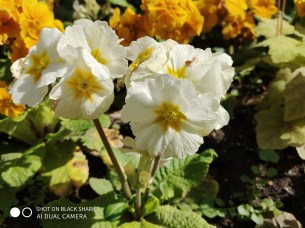 IMG_20190403_140714