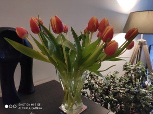 IMG_20190413_203321