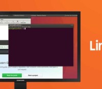 samsung-dex-linux