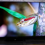 Samsung mise gros sur le QD-OLED et dit au revoir au LCD Samsung mise gros sur le QD-OLED et dit au revoir au LCD