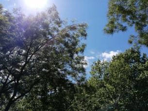 IMG_20190516_124856